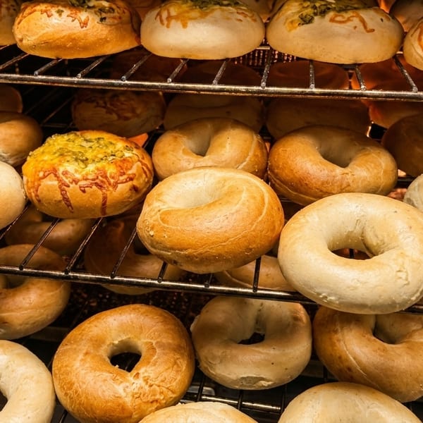 Freshly baked bagels, some plain and some topped with cheese and herbs, on oven racks.
